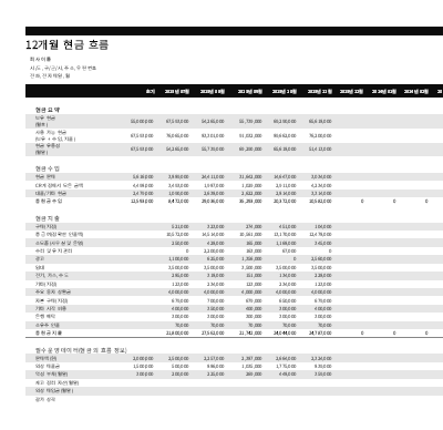 12개월 단위 현금 흐름 보고서 12개월 단위 현금 흐름 보고서